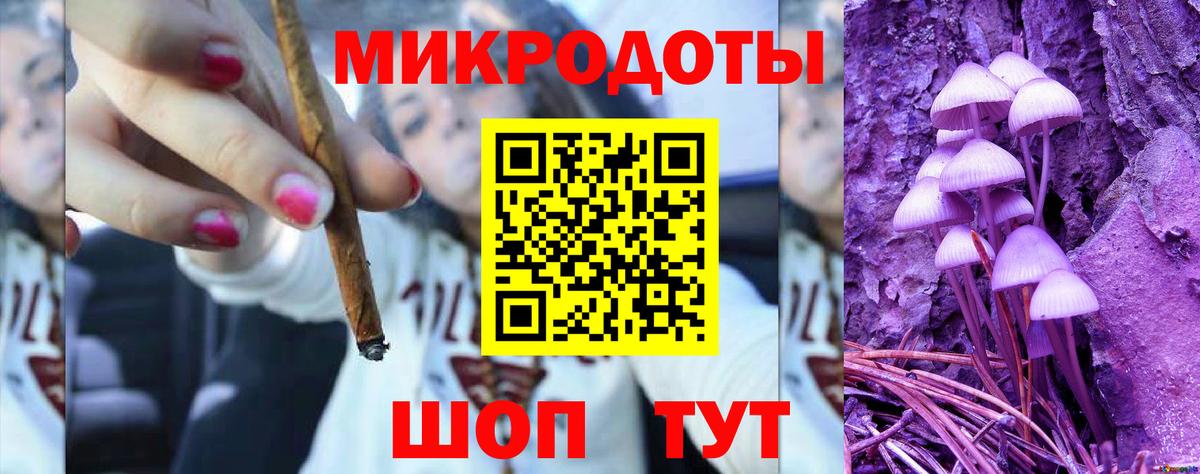 Галлюциногенные грибы Cubensis  цена наркотик  Ставрополь  Вход с VPN 